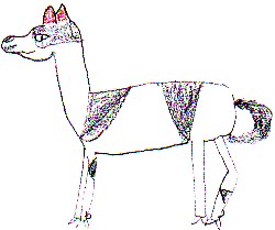 il guanaco